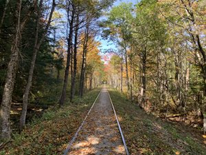 NH-RTP-grant-view-of-the-Fall-Foliage-along-a-freshly-cleared-portion-of-the-Cotton-Valley-Rail-Trail.jpg