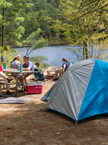 campsite with tent at bear brook state park 