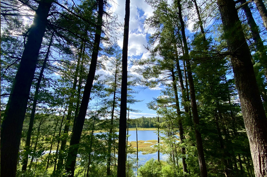 bear brook state park campsite