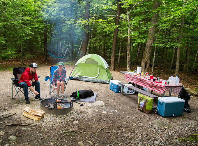 Tents in forest