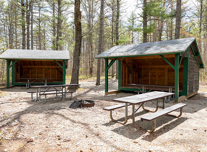 Campsite in woods