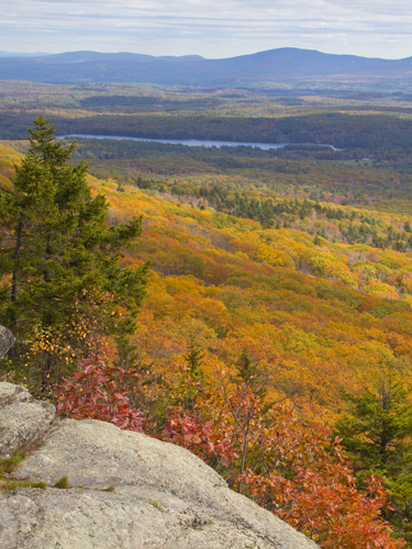 Fall Foliage View from Mt Monadnock
