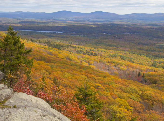 Fall Foliage View from Mt Monadnock