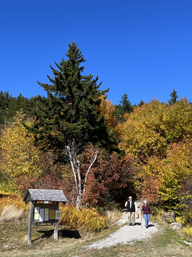 Trailhead at Rollins State Park - Mt Kearsarge