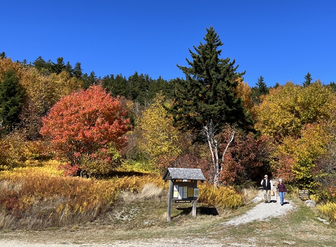 Trailhead at Rollins State Park - Mt Kearsarge