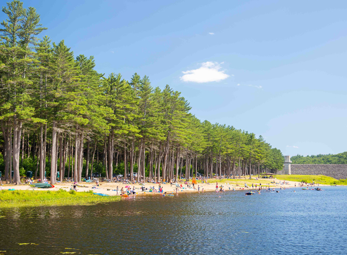 clough state park beach