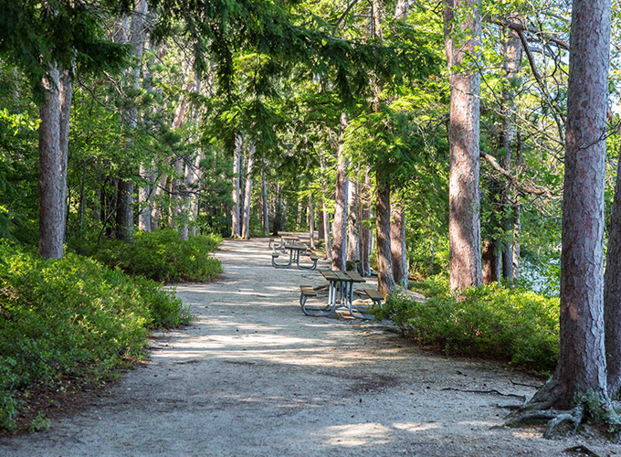 wadleigh state park picnic tables near beach area
