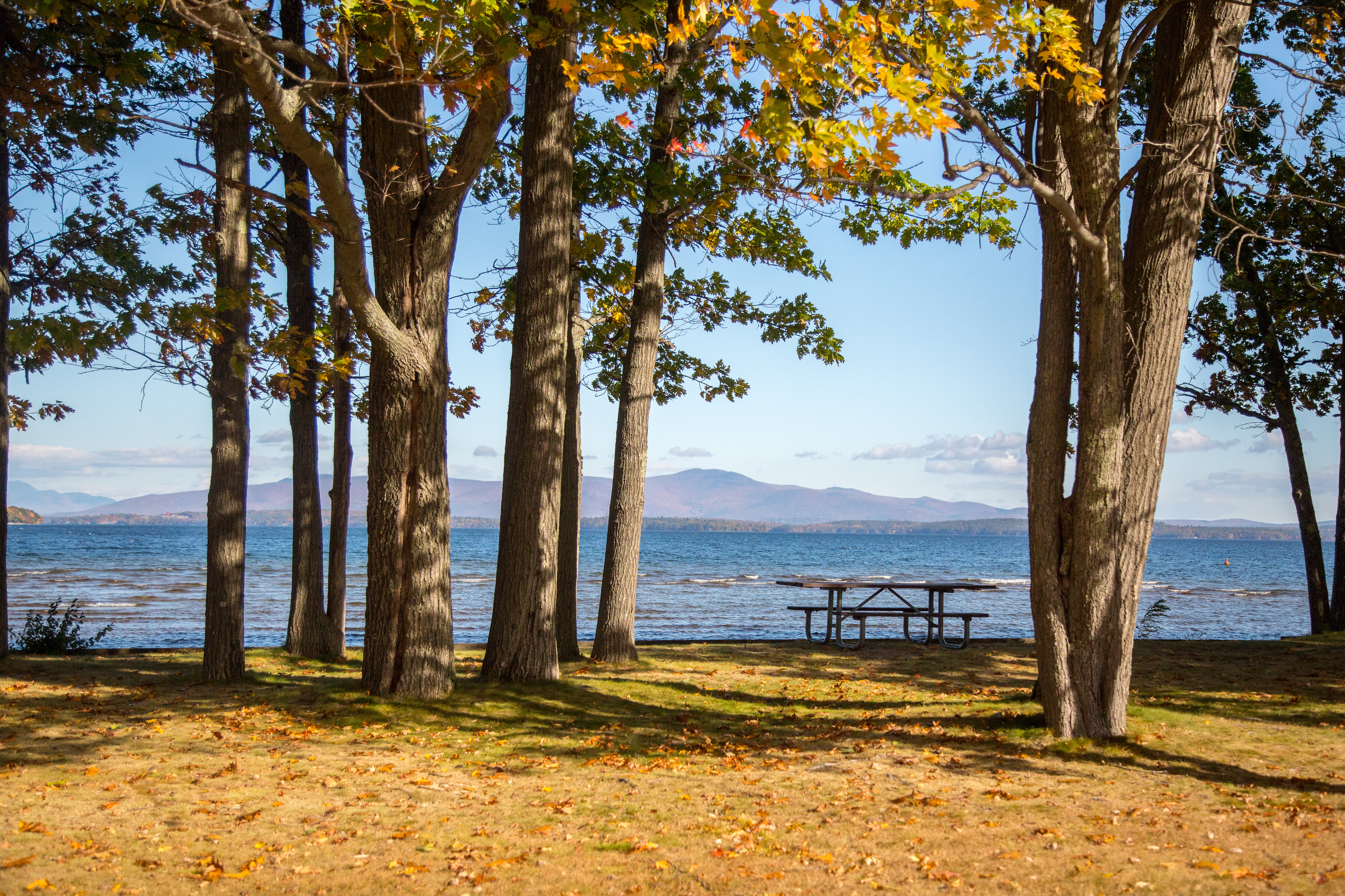 ellacoya picnic area