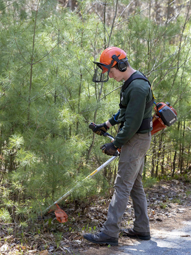 male park employee running weed whacker