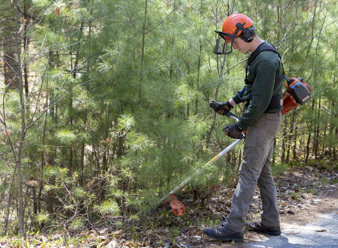 male park employee running weed whacker