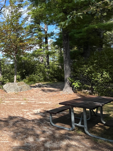 picnic tables at campers beach greenfield state park