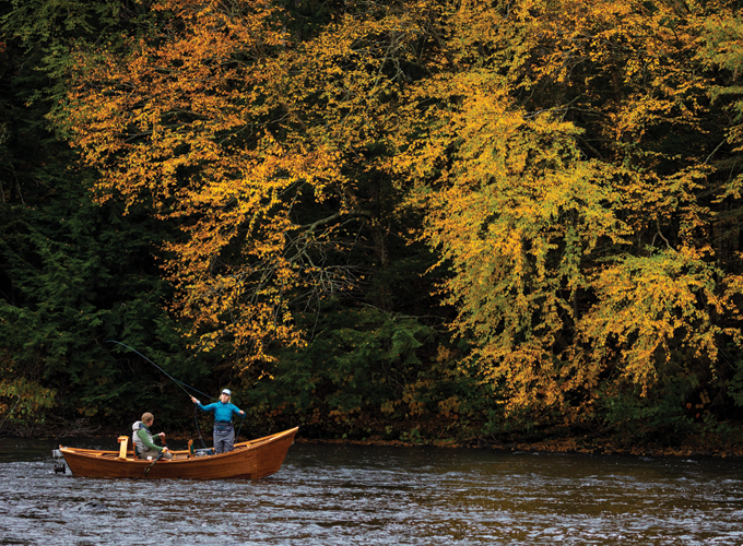 fly fishing at mollidgewock state park