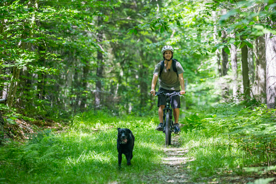 biking at pillsbury state park