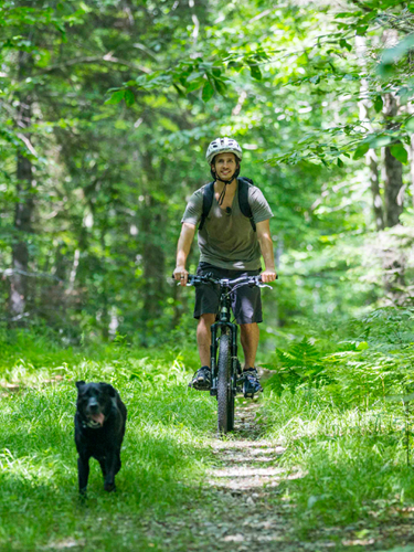 biking at pillsbury state park