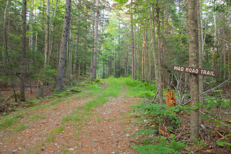 trail at pillsbury state park