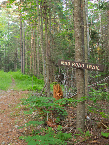 trail at pillsbury state park