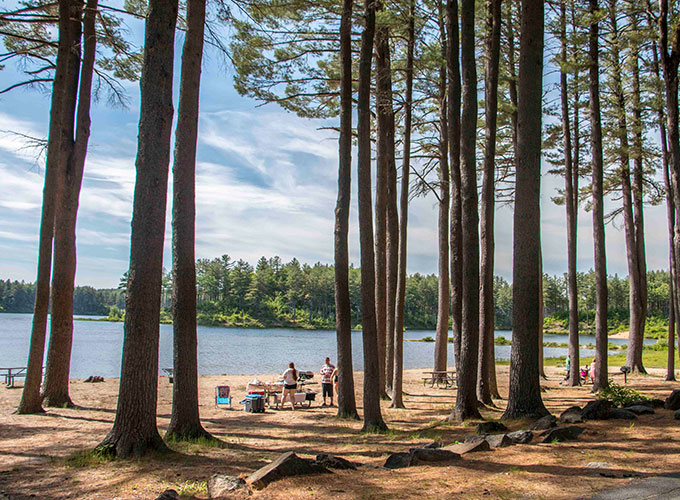 Clough State Park Beach