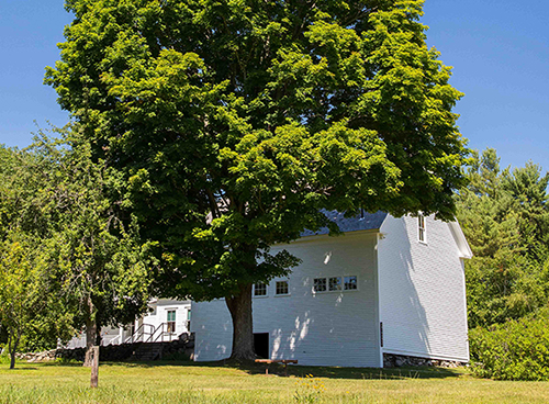 robert frost farm state historic site