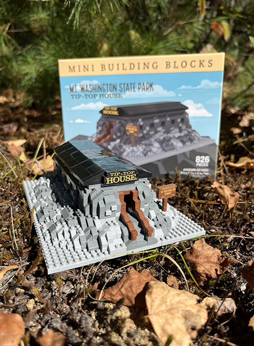 tip top house building block kit assembled with box