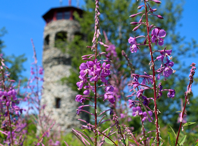 weeks state park & historic site fire tower