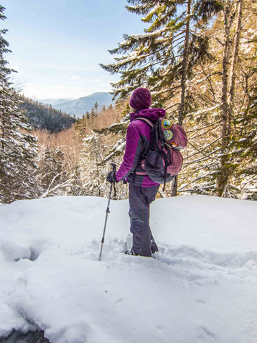 snowshoeing at nh state parks