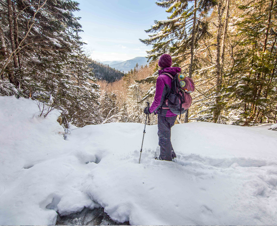 snowshoeing at nh state parks