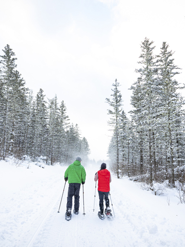 man and woman snowshoeing at coleman state park
