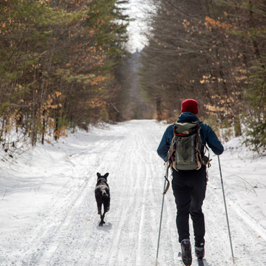 xc skiing on rail trail with dog