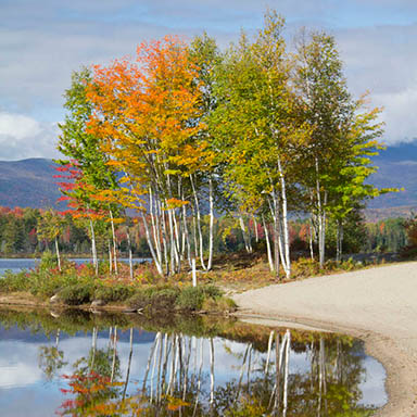 jericho mt state park fall foliage