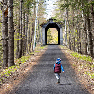 trail through a park