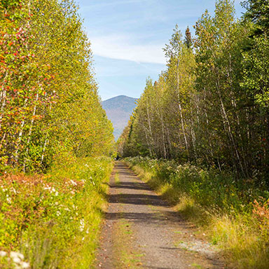 A rail trail in a New Hampshire park