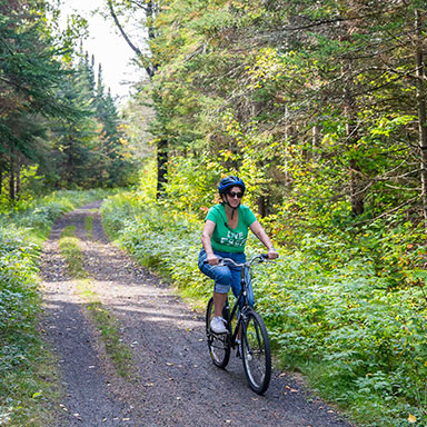 A rail trail in a New Hampshire park