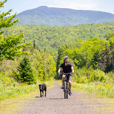 Man biking on rail trail with dog