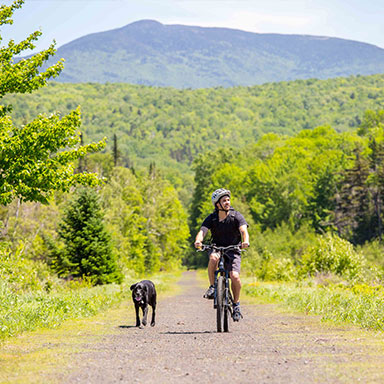 A rail trail in a New Hampshire park