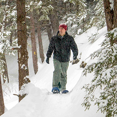 man snowshoeing in the woods