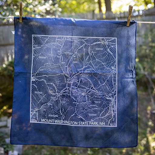 Blue bandana with map of park on it