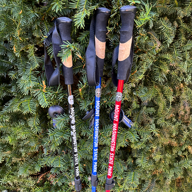 NH State Park trekking poles in 3 colors -black red and blue