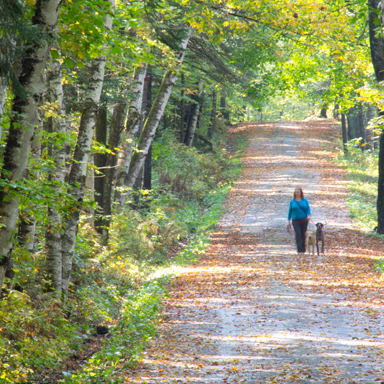 walking trail at weeks state park
