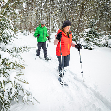 couple snowshoeing at coleman state park