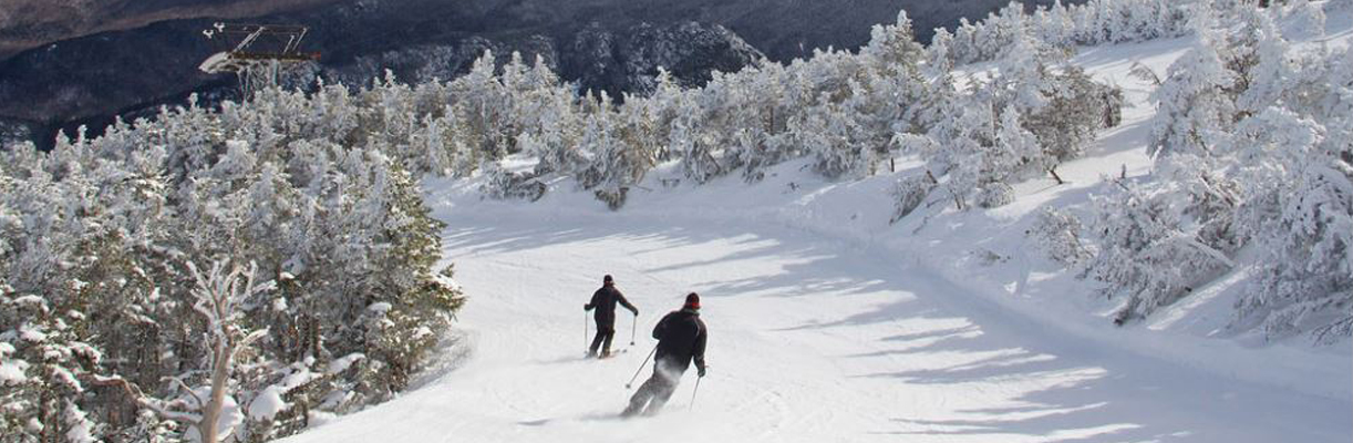 downhill skiing at cannon mountain 