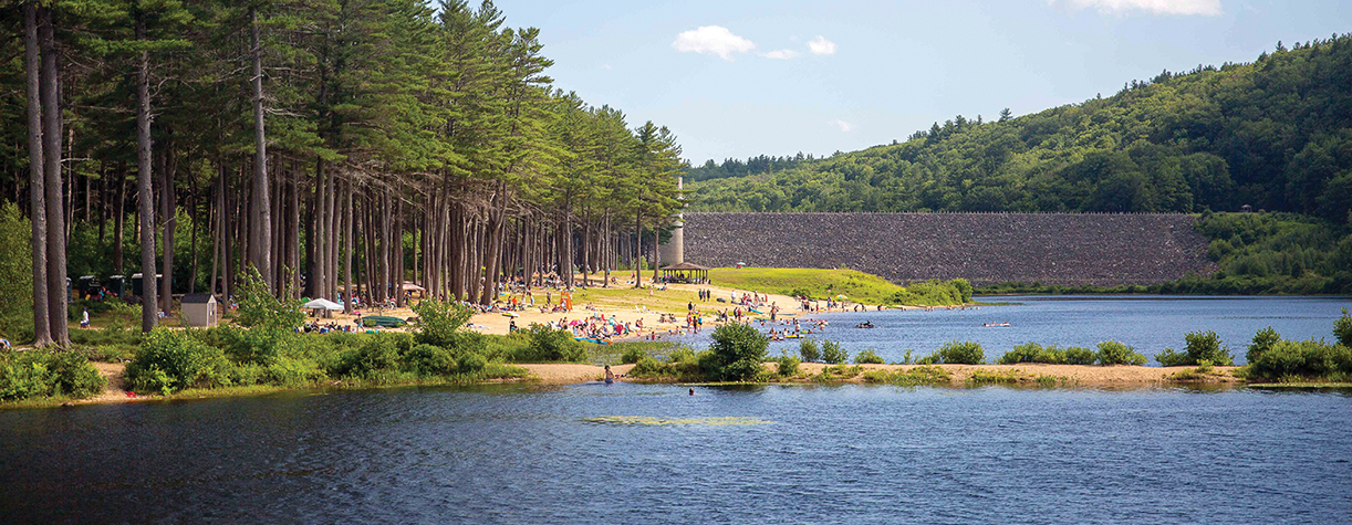 beach at clough state park in the summer