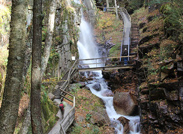 Stairs in gorge
