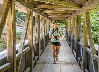 person on wooden bridge