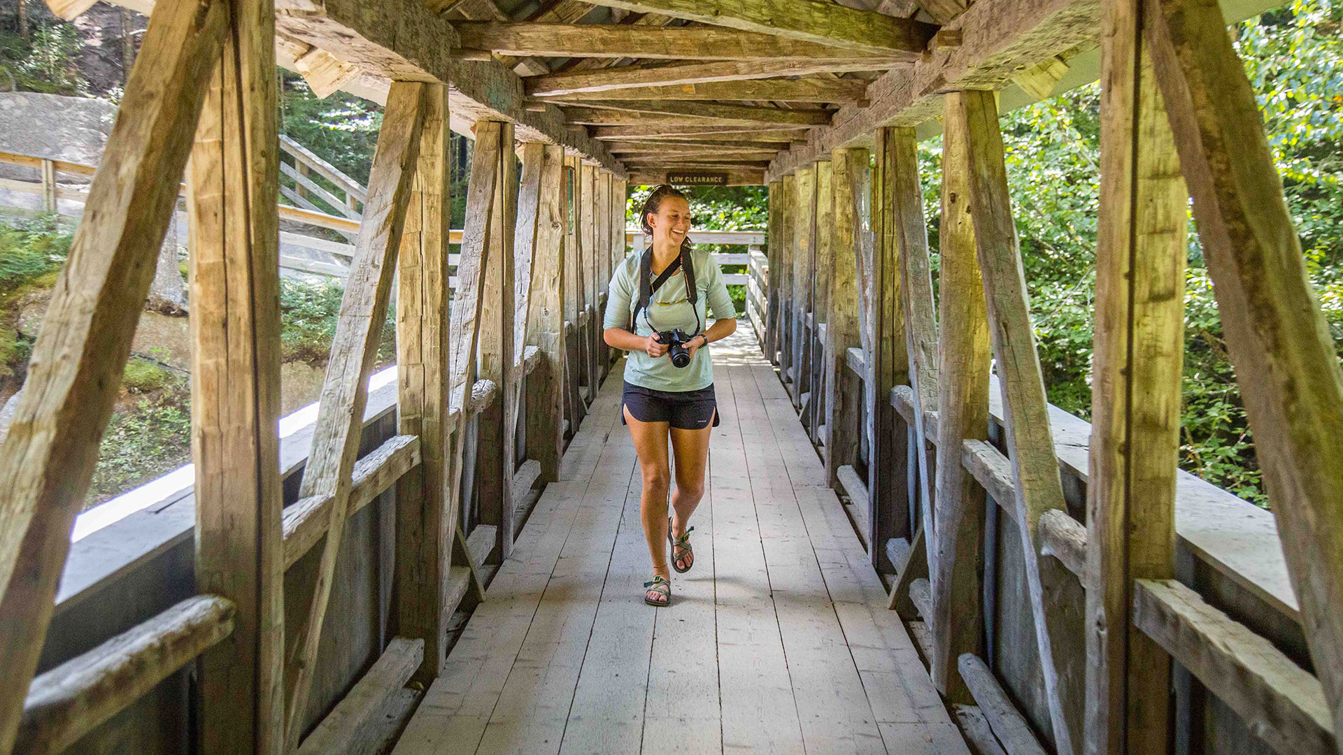 person on wooden bridge