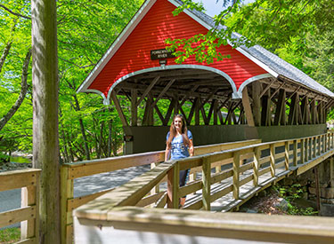 wooden bridge