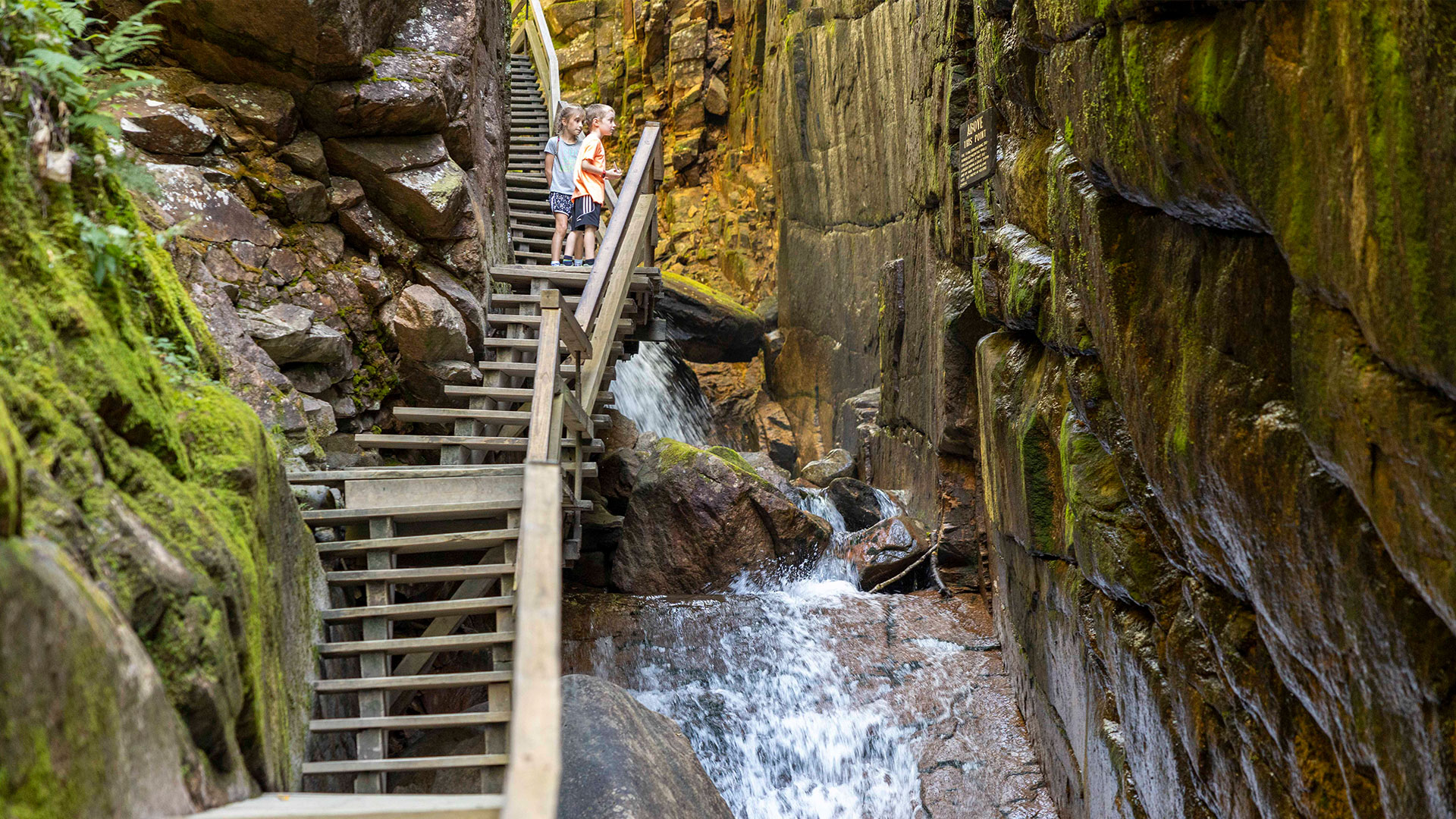 Woman walking down stairs looking at river