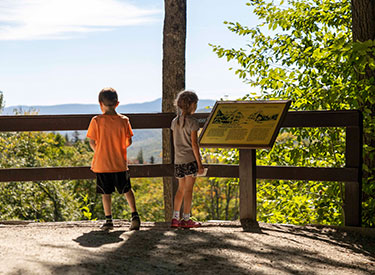 Stairs in gorge