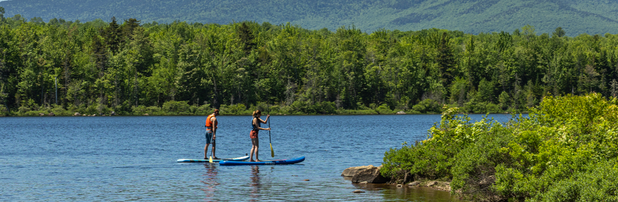 paddle boarders on jericho lake 