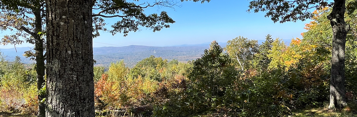 view from winslow state p[ark