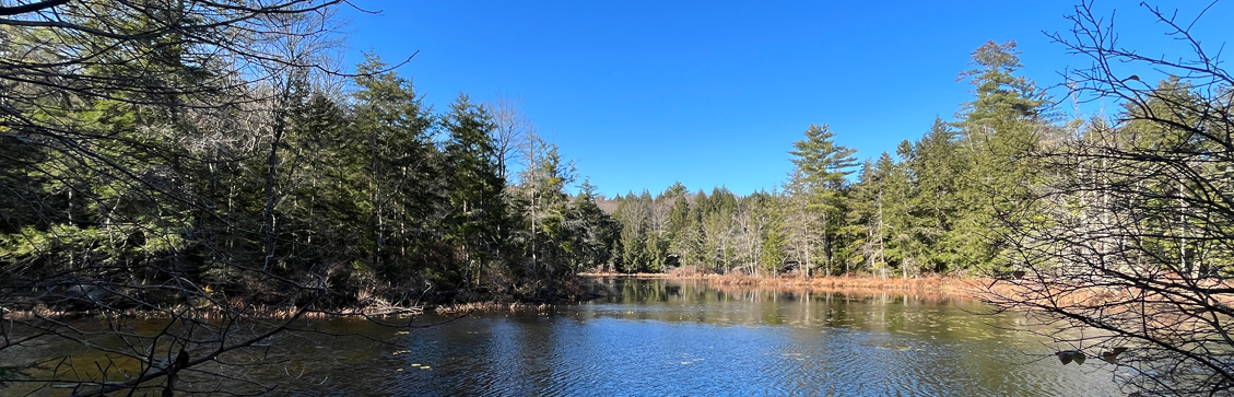 pisgah fullum pond fall